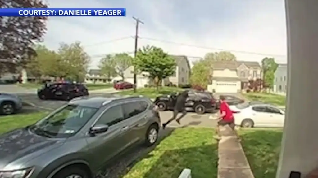 وقتی پیک موتوری به دستگیری سارق کمک میکند!