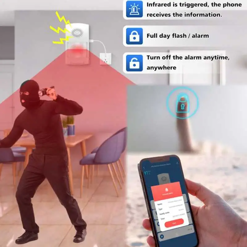 سیستم دزدگیر امنیتی